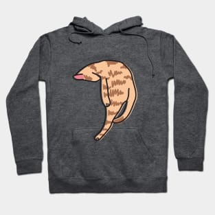 Funny Cat #2 illustration in Weirdtual Reality Hoodie